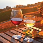 Fall Foliage Jazz'n Wine Cruise