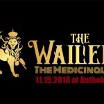 The Wailers w/ The Medicinals